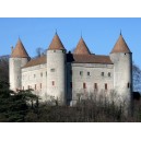 El Castillo de Champvent (2)