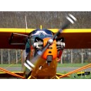 Piper PA-18 HB-OKP