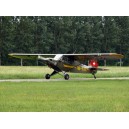 Piper Super Cub PA-18 HB-PAX