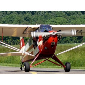 Piper Cub L-4 HB-OEY (photo 3)