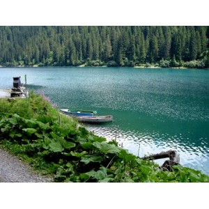 Arnensee - Lago de montaña (7)